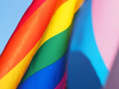 40 frases LGBT que mostram o orgulho pela diversidade