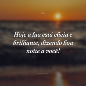 Hoje a lua está cheia e brilhante, dizendo boa noite a você!