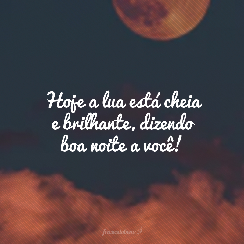 Hoje a lua está cheia e brilhante, dizendo boa noite a você!