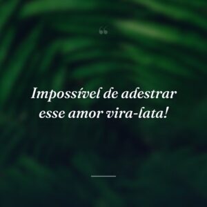 Impossível de adestrar esse amor vira-lata!