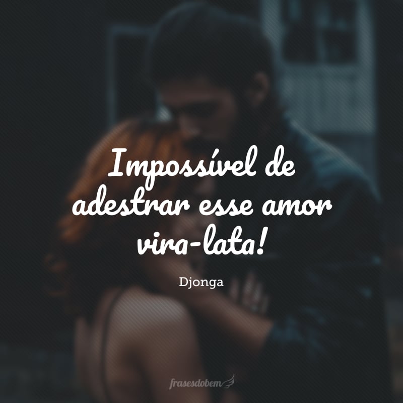 Impossível de adestrar esse amor vira-lata!