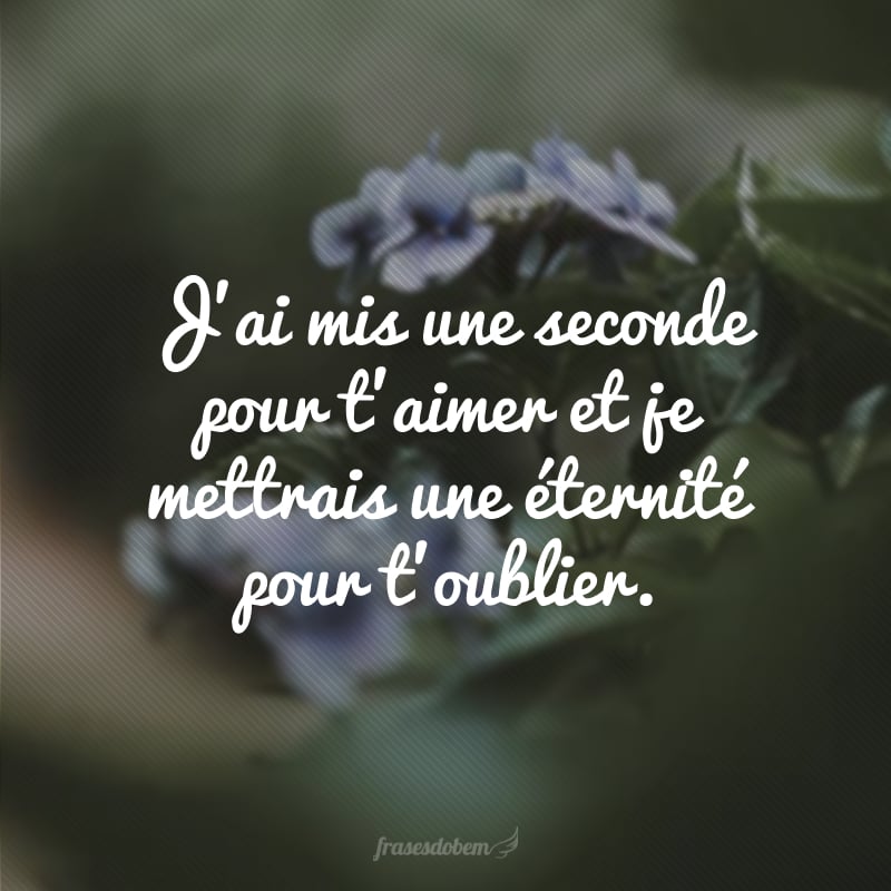 J’ai mis une seconde pour t’aimer et je mettrais une éternité pour t’oublier. (Eu precisei de um segundo para te amar e precisarei de uma eternidade para te esquecer.)