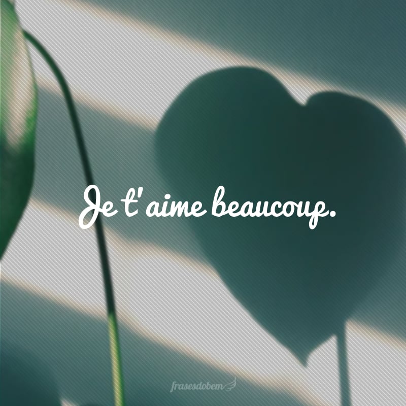 Je t'aime beaucoup. (Eu te amo muito.)