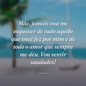 Mãe, jamais vou me esquecer de tudo aquilo que você fez por mim e de todo o amor que sempre me deu. Vou sentir saudades!