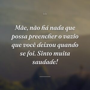 Mãe, não há nada que possa preencher o vazio que você deixou quando se foi. Sinto muita saudade!
