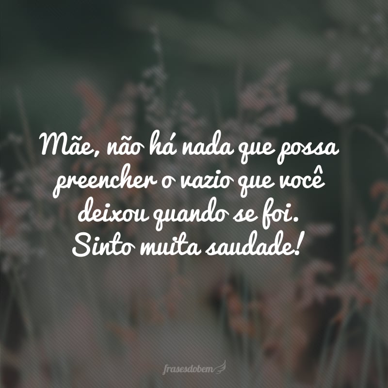 Mãe, não há nada que possa preencher o vazio que você deixou quando se foi. Sinto muita saudade! 