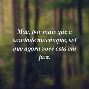 Mãe, por mais que a saudade machuque, sei que agora você está em paz.