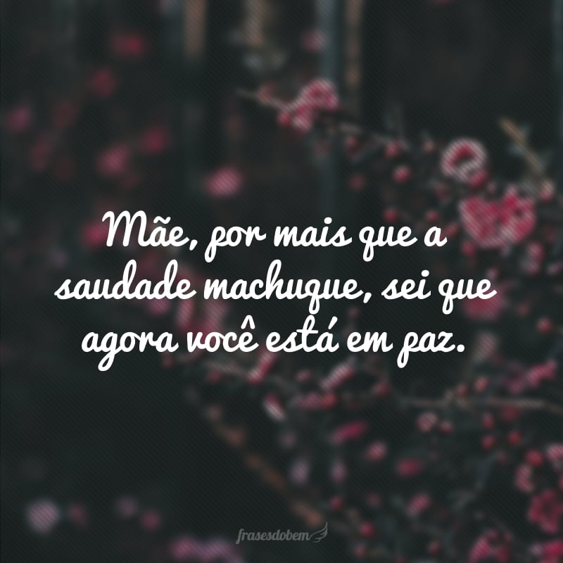 Mãe, por mais que a saudade machuque, sei que agora você está em paz.  