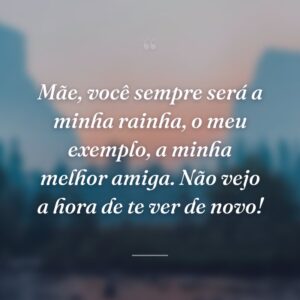 Mãe, você sempre será a minha rainha, o meu exemplo, a minha melhor amiga. Não vejo a hora de te ver de novo!