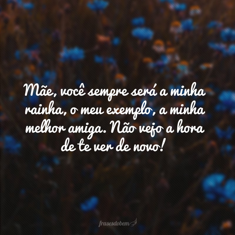 Mãe, você sempre será a minha rainha, o meu exemplo, a minha melhor amiga. Não vejo a hora de te ver de novo! 