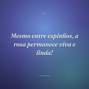 Mesmo entre espinhos, a rosa permanece viva e linda!