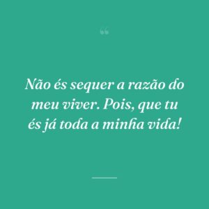 Não és sequer a razão do meu viver. Pois, que tu és já toda a minha vida!