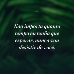 Não importa quanto tempo eu tenha que esperar, nunca vou desistir de você.