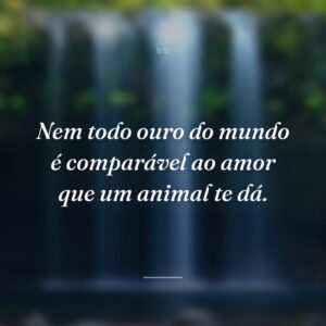 Nem todo ouro do mundo é comparável ao amor que um animal te dá.