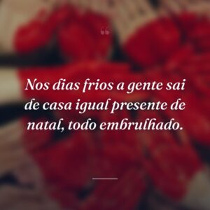 Nos dias frios a gente sai de casa igual presente de natal, todo embrulhado.