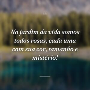 No jardim da vida somos todos rosas, cada uma com sua cor, tamanho e mistério!