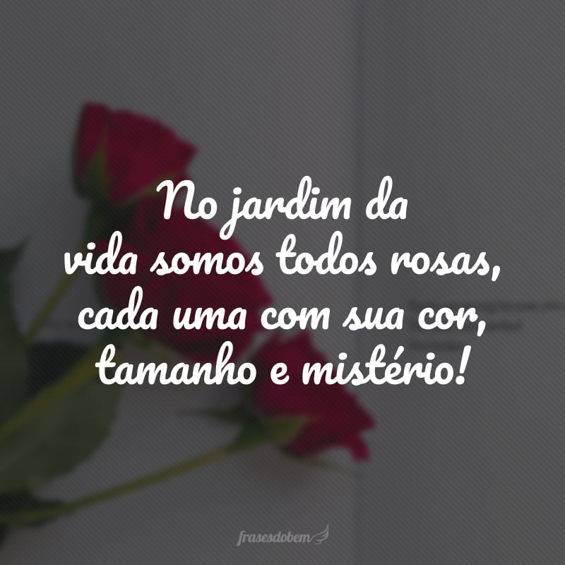 No jardim da vida somos todos rosas, cada uma com sua cor, tamanho e mistério!