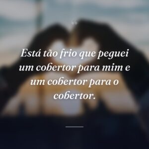 Está tão frio que peguei um cobertor para mim e um cobertor para o cobertor.
