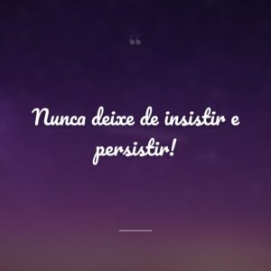 Nunca deixe de insistir e persistir!