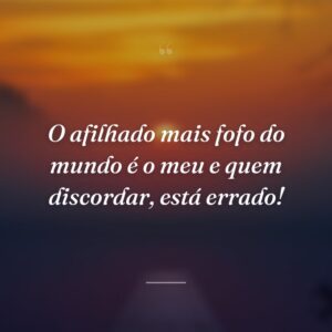 O afilhado mais fofo do mundo é o meu e quem discordar, está errado!