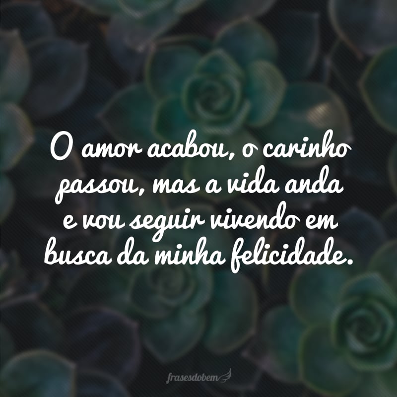 O amor acabou, o carinho passou, mas a vida anda e vou seguir vivendo em busca da minha felicidade.