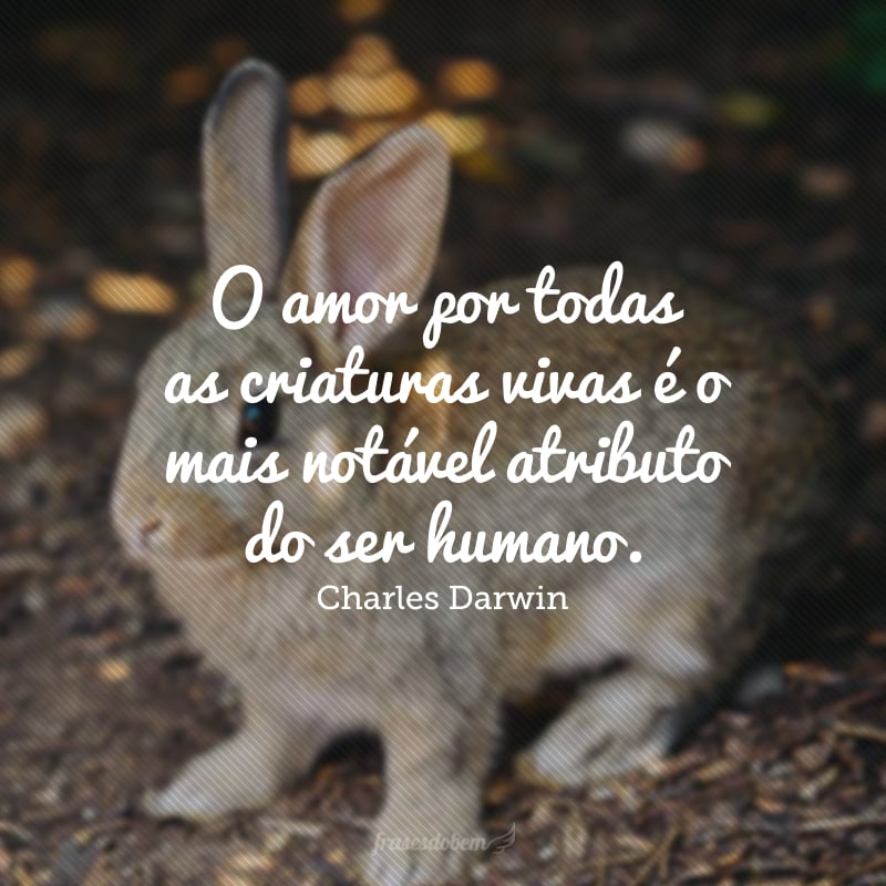 O amor por todas as criaturas vivas é o mais notável atributo do ser humano.