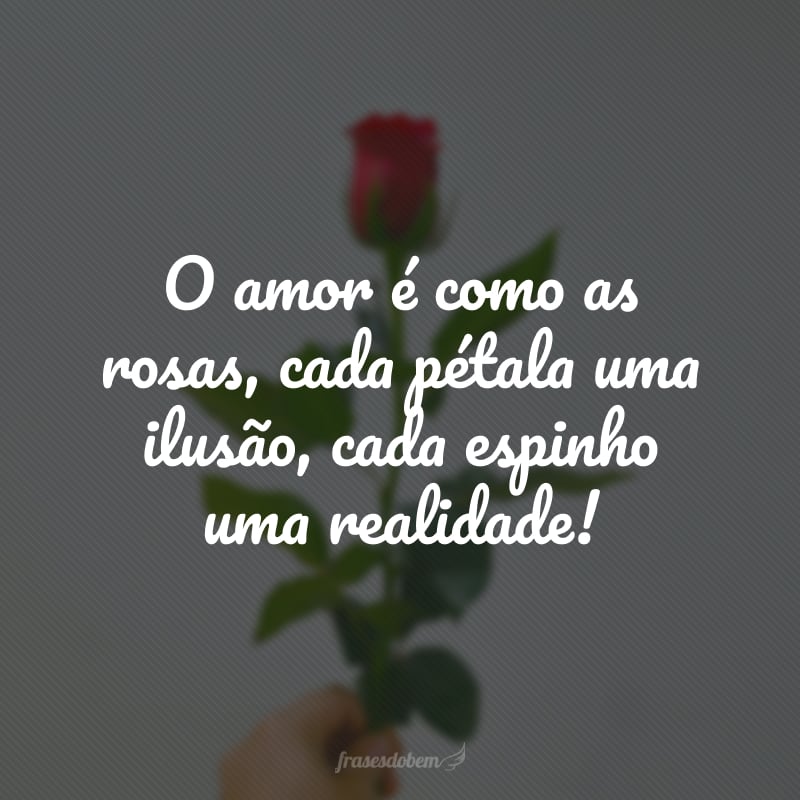 O amor é como as rosas, cada pétala uma ilusão, cada espinho uma realidade!