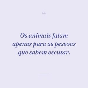 Os animais falam apenas para as pessoas que sabem escutar.