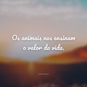 Os animais nos ensinam o valor da vida.