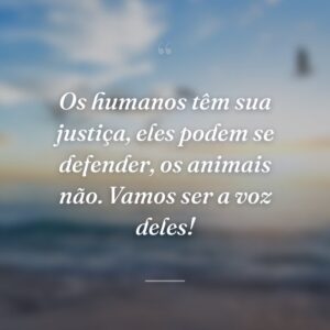 Os humanos têm sua justiça, eles podem se defender, os animais não. Vamos ser a voz deles!