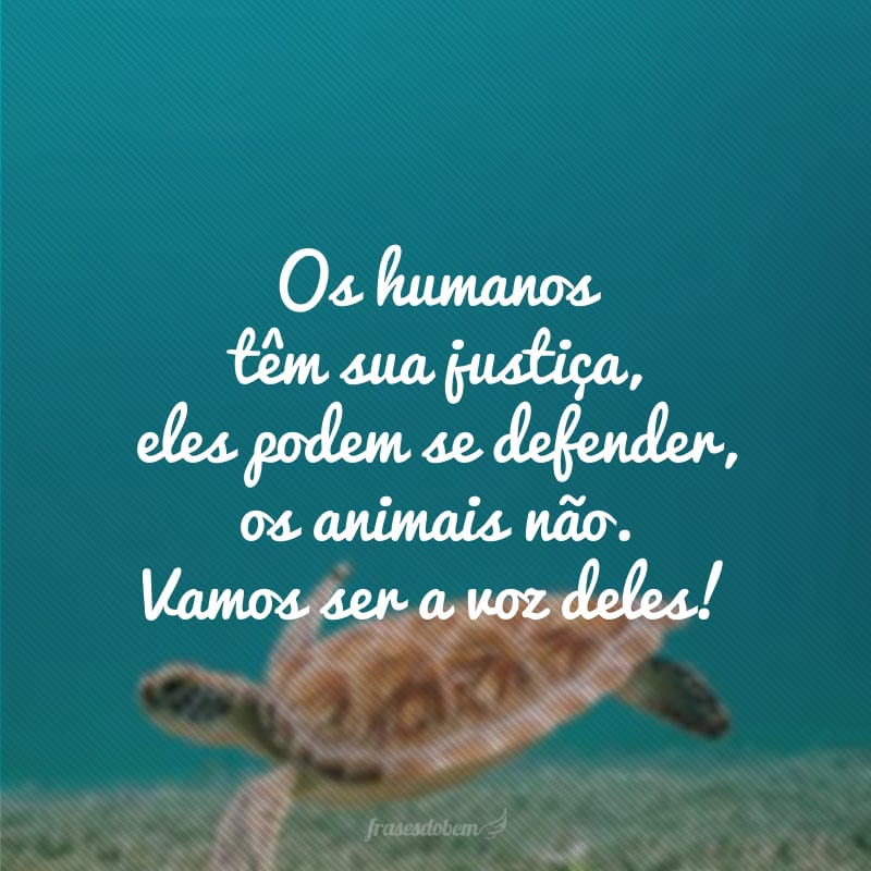 Os humanos têm sua justiça, eles podem se defender, os animais não. Vamos ser a voz deles!