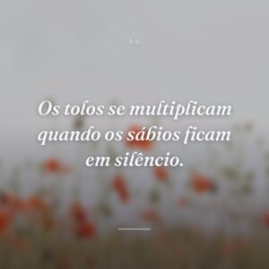Os tolos se multiplicam quando os sábios ficam em silêncio.