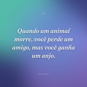 Quando um animal morre, você perde um amigo, mas você ganha um anjo.