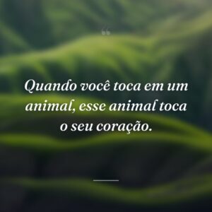 Quando você toca em um animal, esse animal toca o seu coração.