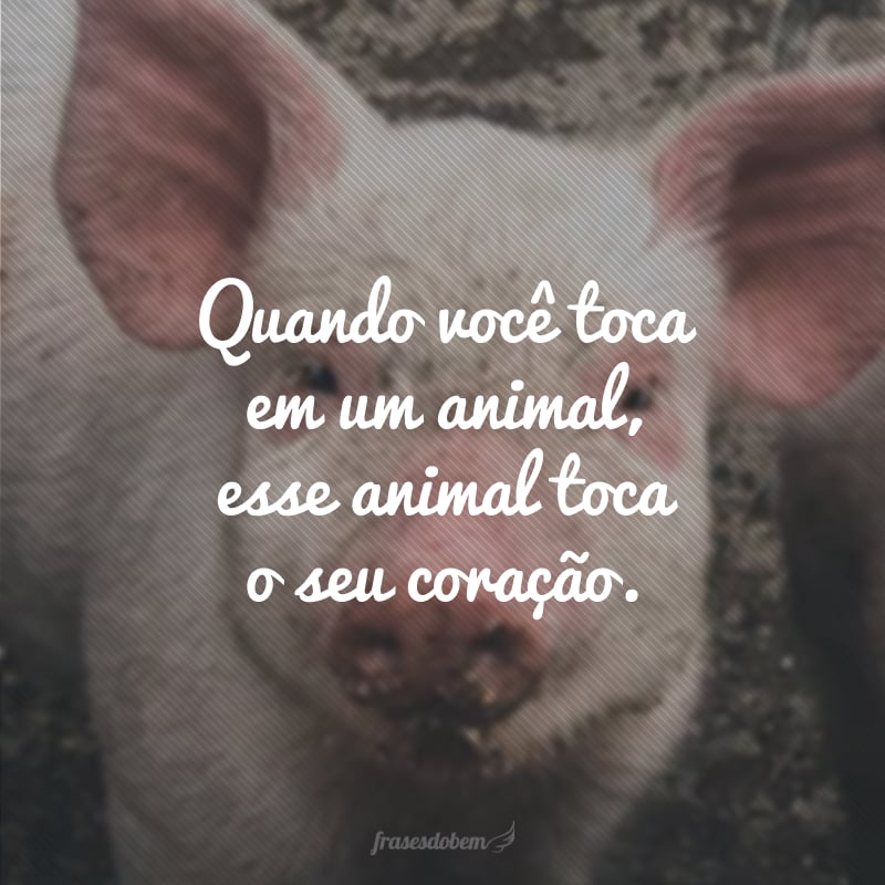 Quando você toca em um animal, esse animal toca o seu coração.