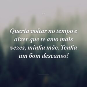 Queria voltar no tempo e dizer que te amo mais vezes, minha mãe. Tenha um bom descanso!