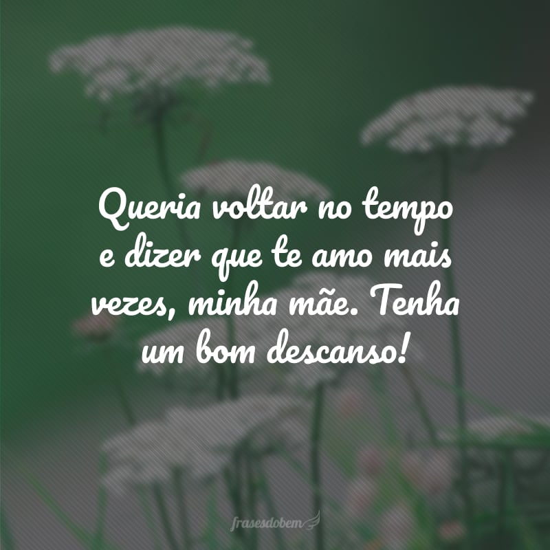 Queria voltar no tempo e dizer que te amo mais vezes, minha mãe. Tenha um bom descanso!