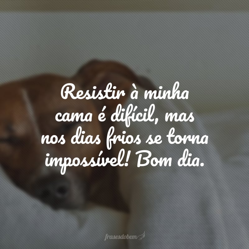 Resistir à minha cama é difícil, mas nos dias frios se torna impossível! Bom dia.