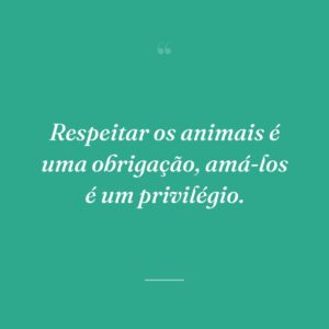 Respeitar os animais é uma obrigação, amá-los é um privilégio.