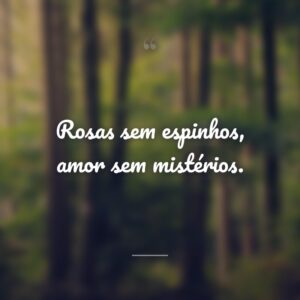 Rosas sem espinhos, amor sem mistérios.