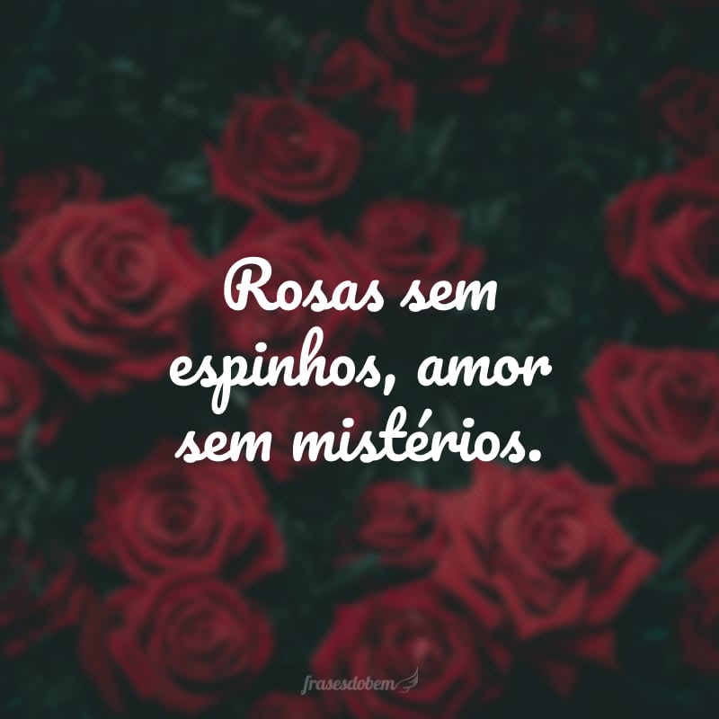 Rosas sem espinhos, amor sem mistérios.