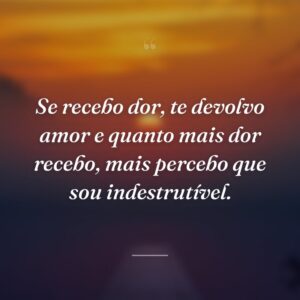 Se recebo dor, te devolvo amor e quanto mais dor recebo, mais percebo que sou indestrutível.