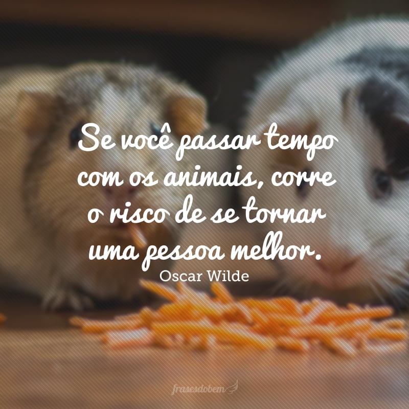 Se você passar tempo com os animais, corre o risco de se tornar uma pessoa melhor.