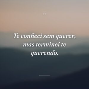 Te conheci sem querer, mas terminei te querendo.
