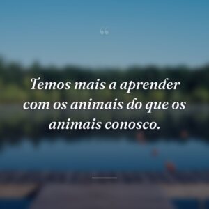 Temos mais a aprender com os animais do que os animais conosco.
