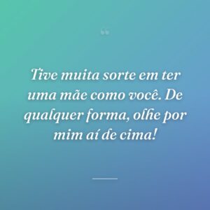 Tive muita sorte em ter uma mãe como você. De qualquer forma, olhe por mim aí de cima!