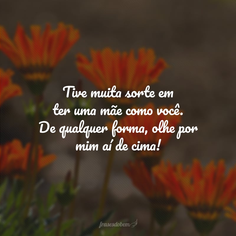 Tive muita sorte em ter uma mãe como você. De qualquer forma, olhe por mim aí de cima!