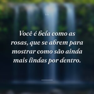 Você é bela como as rosas, que se abrem para mostrar como são ainda mais lindas por dentro.