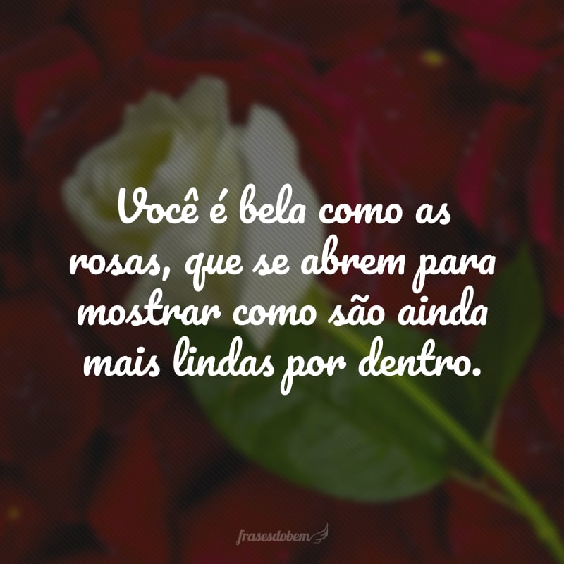 Você é bela como as rosas, que se abrem para mostrar como são ainda mais lindas por dentro.