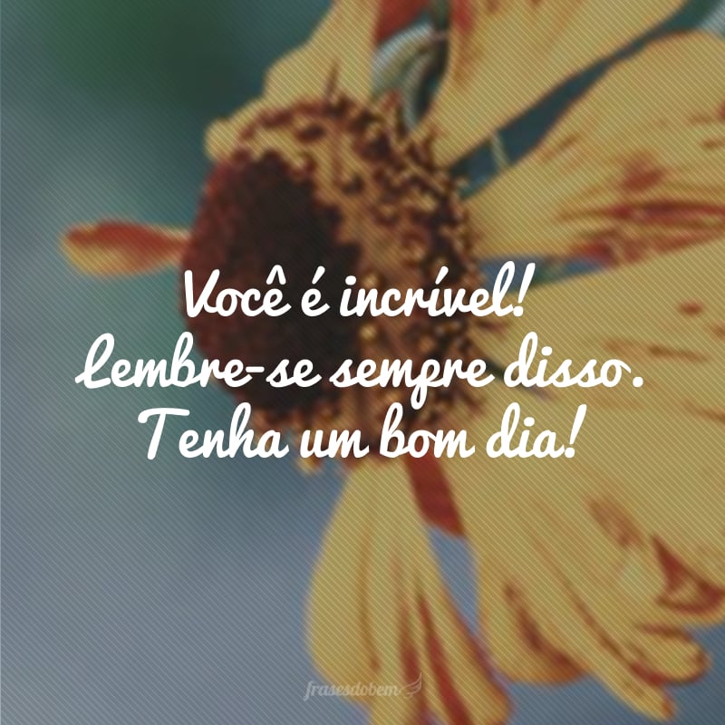 Você é incrível! Lembre-se sempre disso. Tenha um bom dia! 